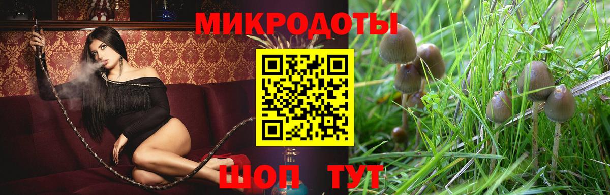 Клинцы  Галлюциногенные грибы MAGIC MUSHROOMS  купить  цена  Вход с VPN  Галлюциногенные грибы Magic Shrooms 